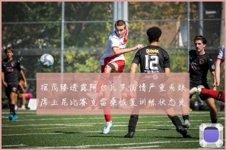 宿茂臻透露阿尔瓦罗伤情严重或缺席玉昆比赛克雷桑恢复训练状态良好