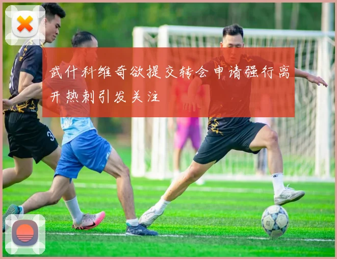 武什科维奇欲提交转会申请强行离开热刺引发关注
